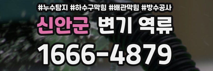 신안군 변기 역류
