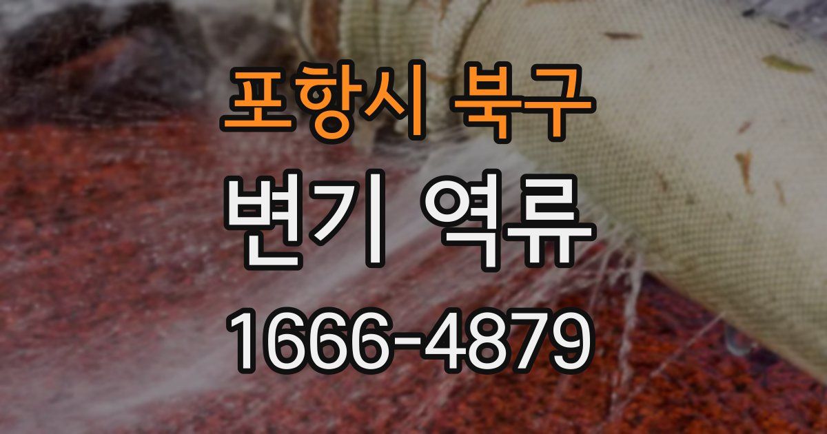 포항시 북구 변기 역류