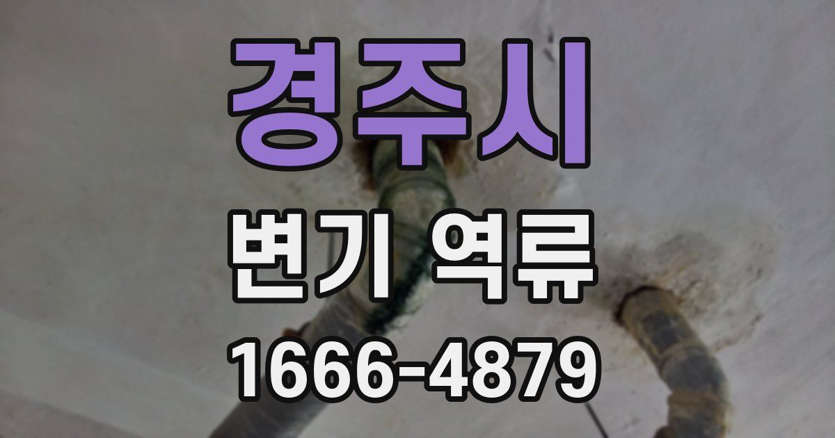 경주시 변기 역류