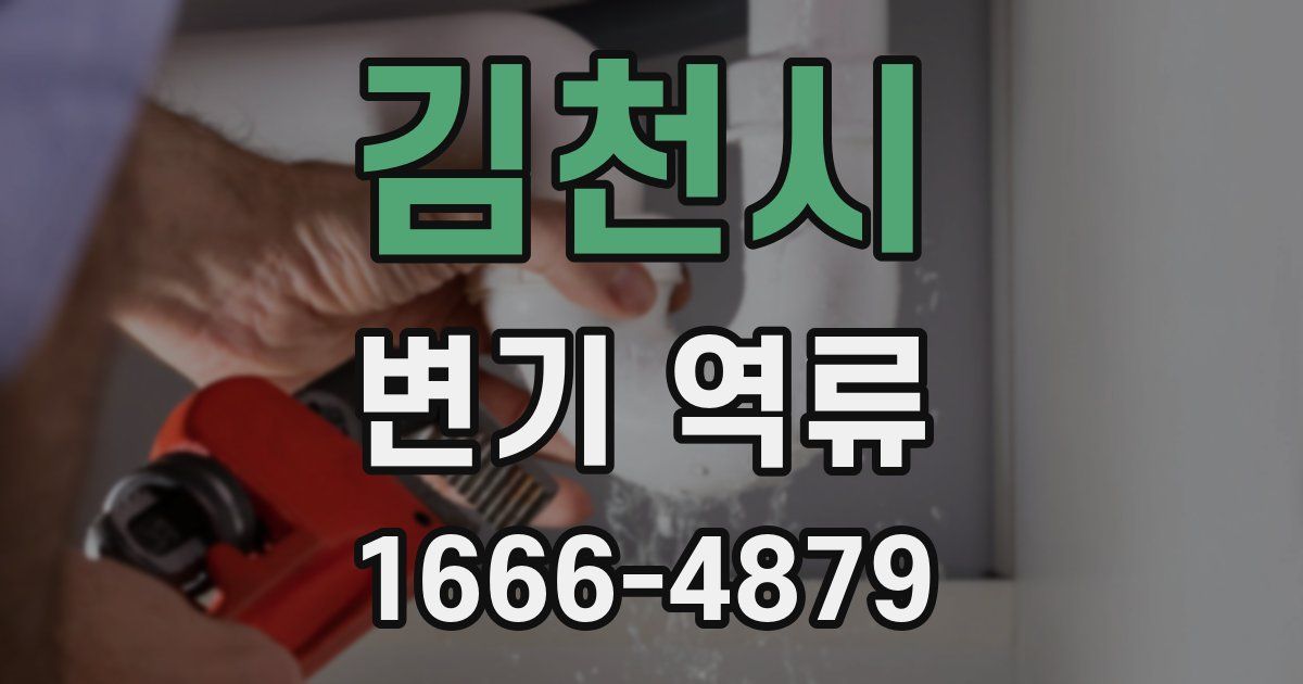 김천시 변기 역류