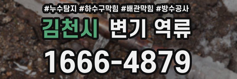 김천시 변기 역류
