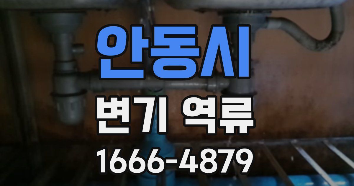 안동시 변기 역류