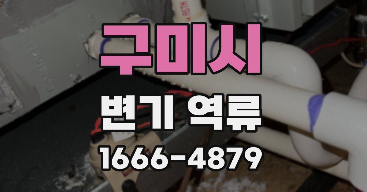 구미시 변기 역류