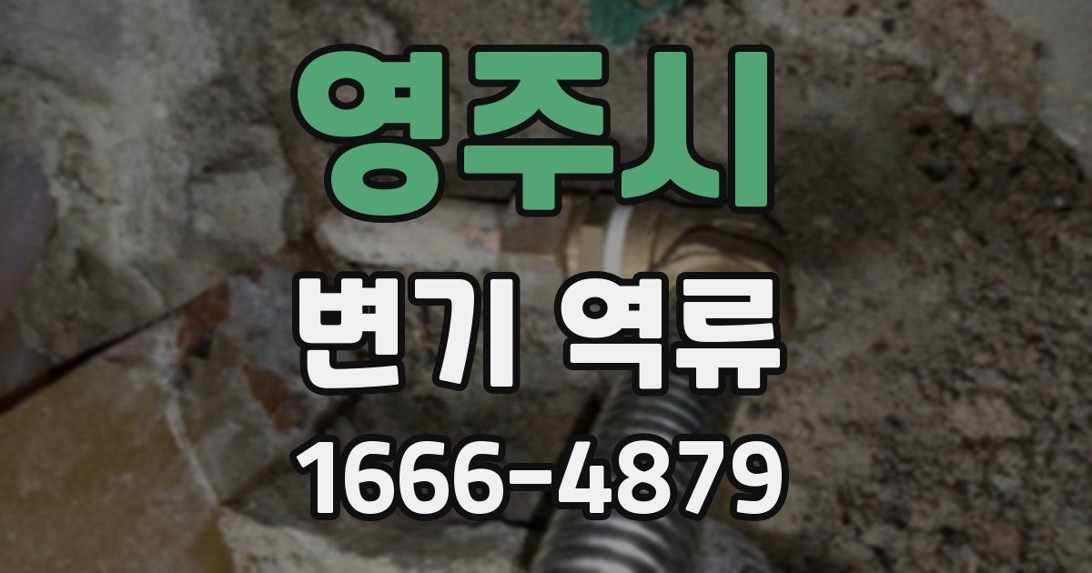 영주시 변기 역류
