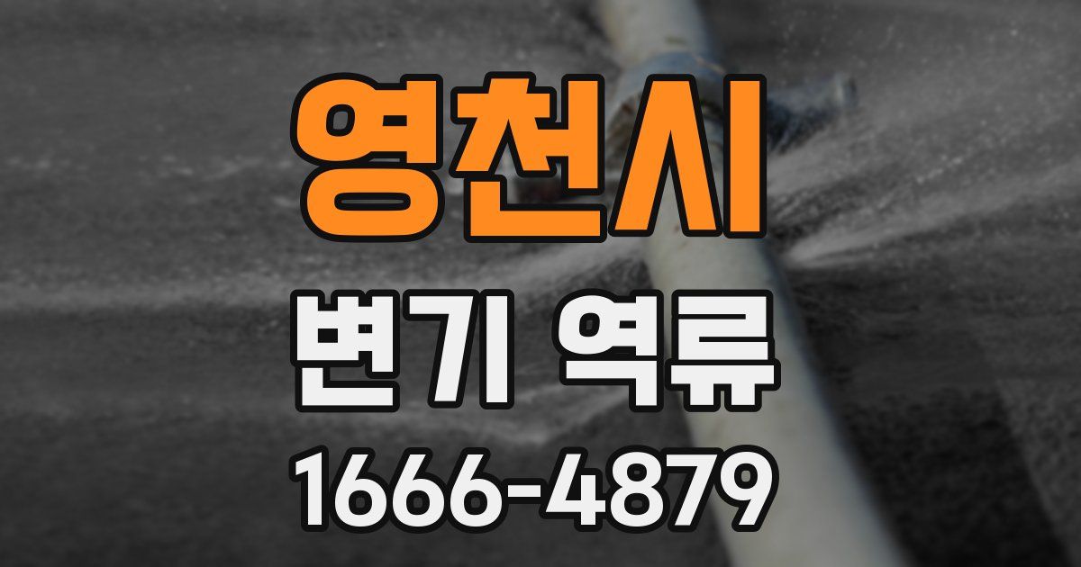 영천시 변기 역류