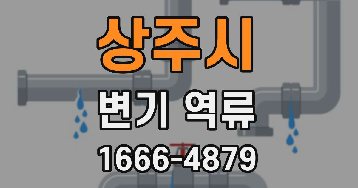상주시 변기 역류