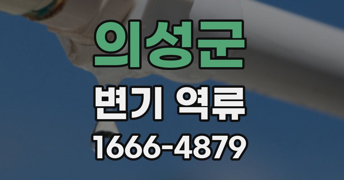 의성군 변기 역류