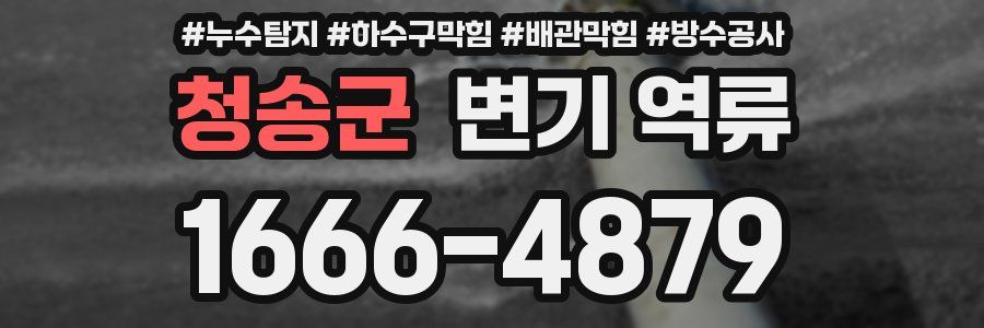 청송군 변기 역류