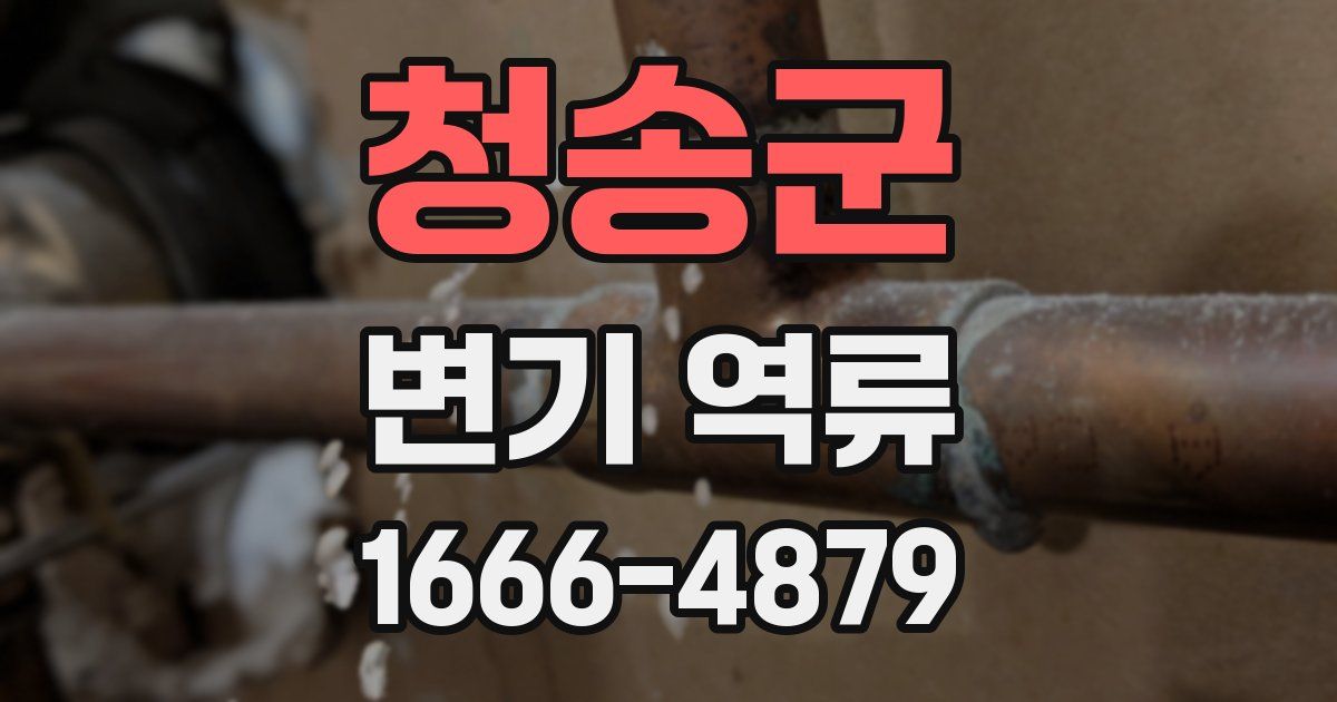 청송군 변기 역류