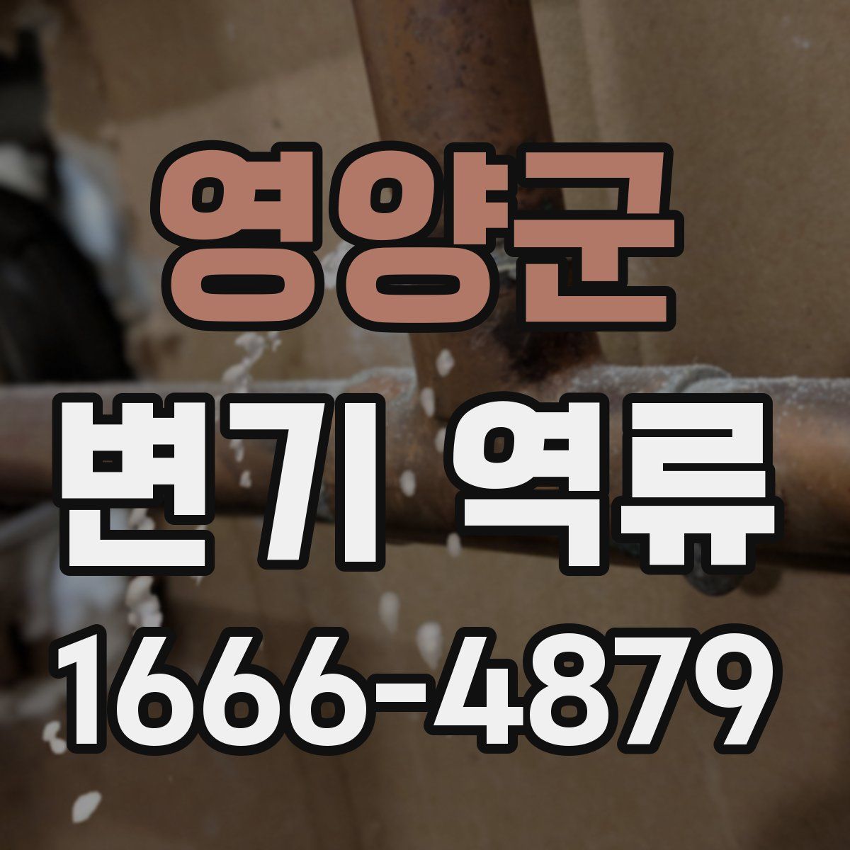 영양군 변기 역류