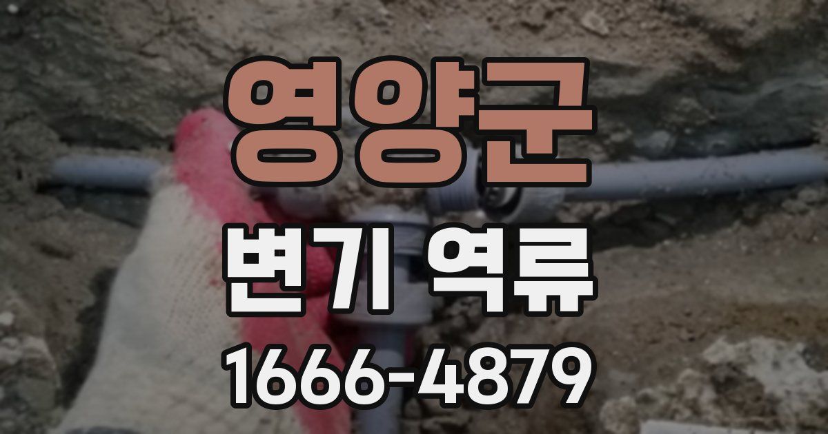영양군 변기 역류