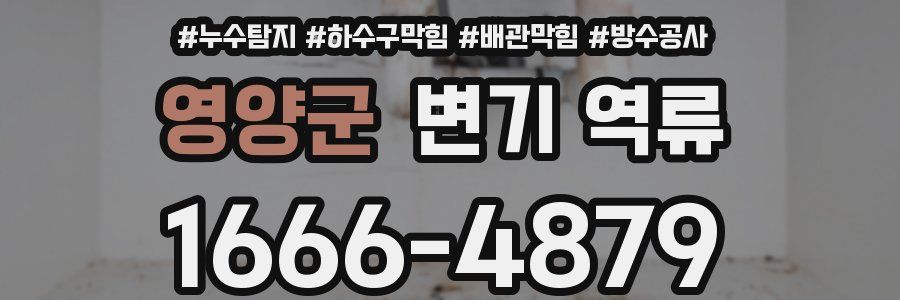 영양군 변기 역류