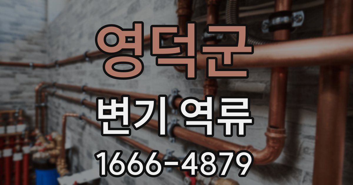 영덕군 변기 역류