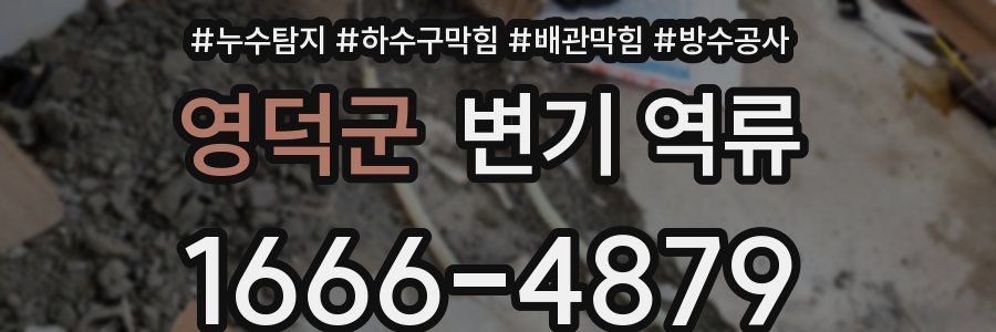 영덕군 변기 역류