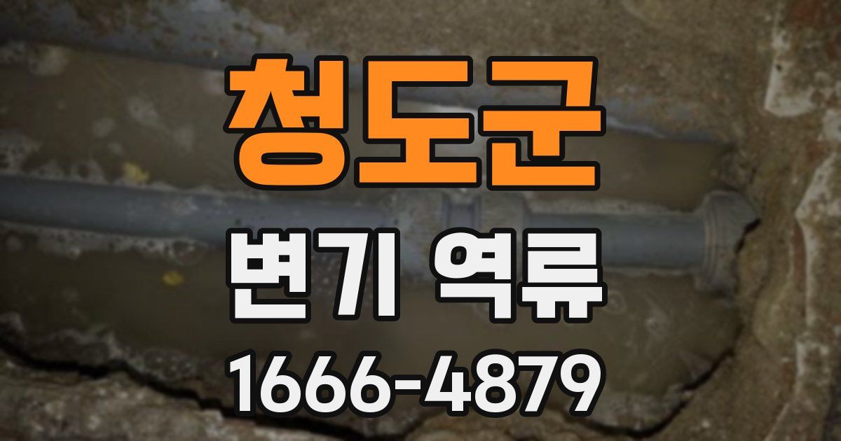 청도군 변기 역류
