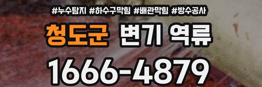 청도군 변기 역류