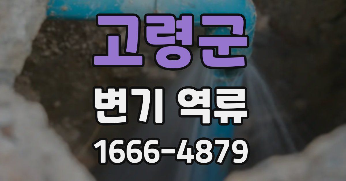 고령군 변기 역류