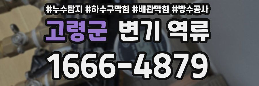고령군 변기 역류