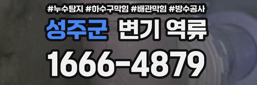 성주군 변기 역류