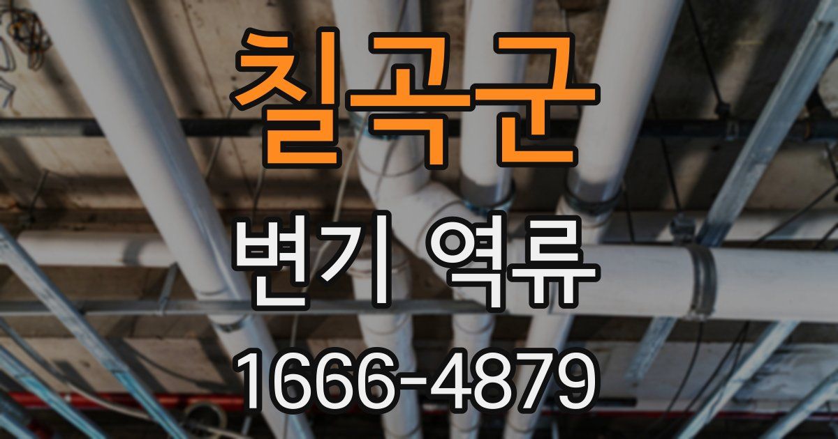 칠곡군 변기 역류