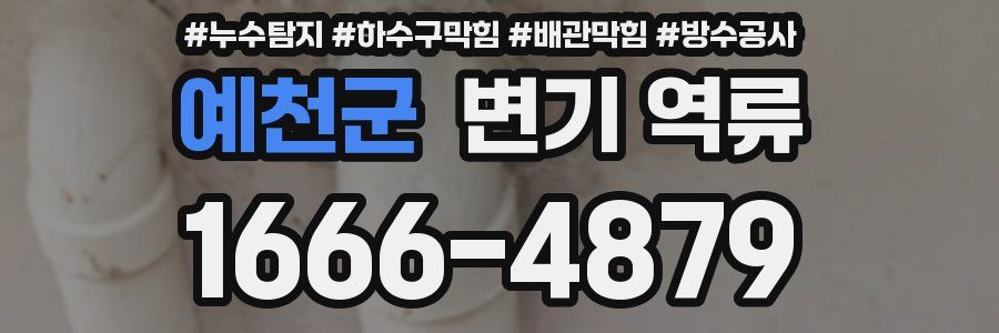 예천군 변기 역류