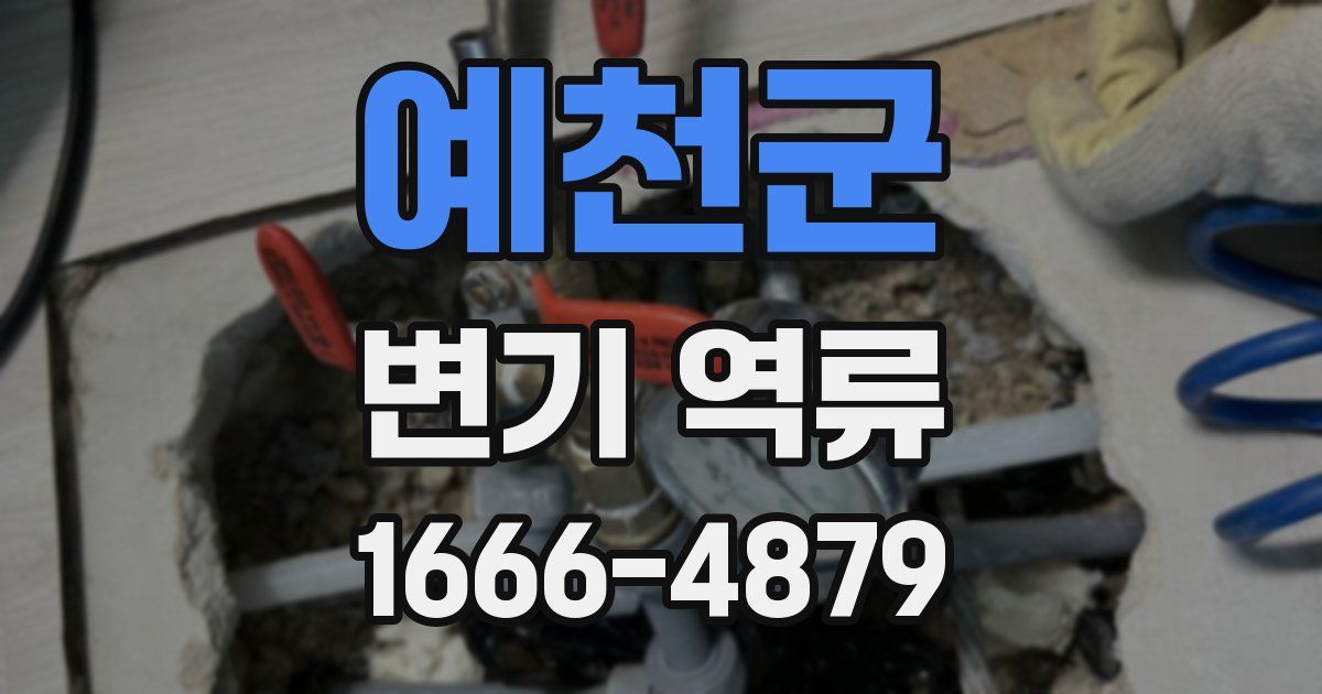 예천군 변기 역류