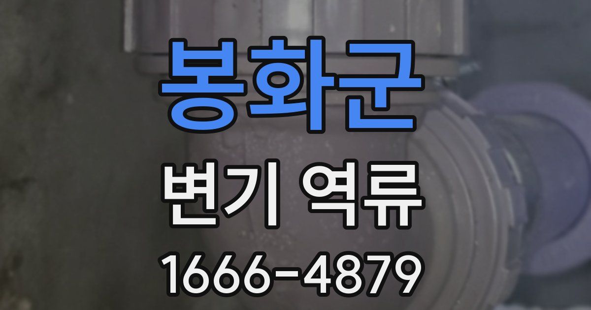 봉화군 변기 역류