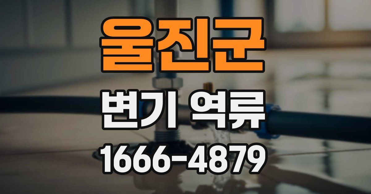 울진군 변기 역류