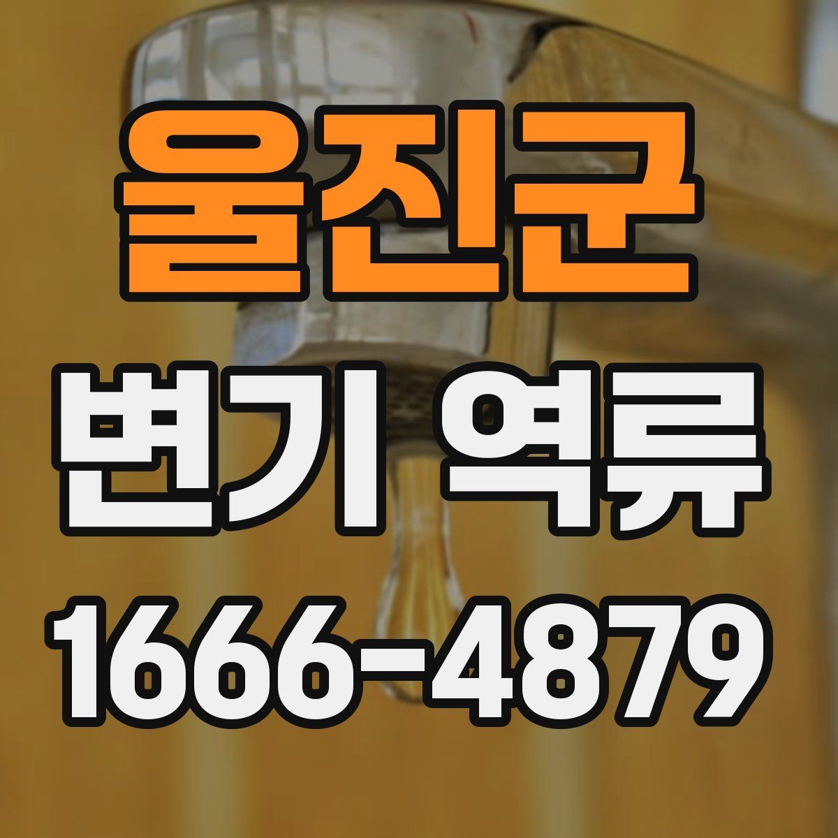 울진군 변기 역류