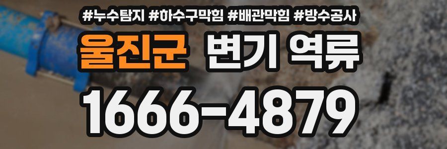 울진군 변기 역류