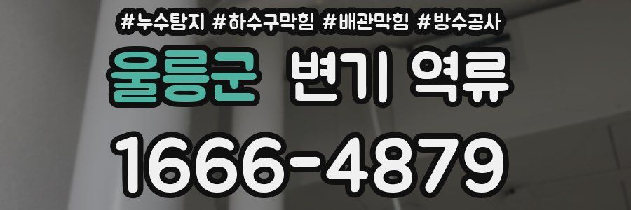 울릉군 변기 역류