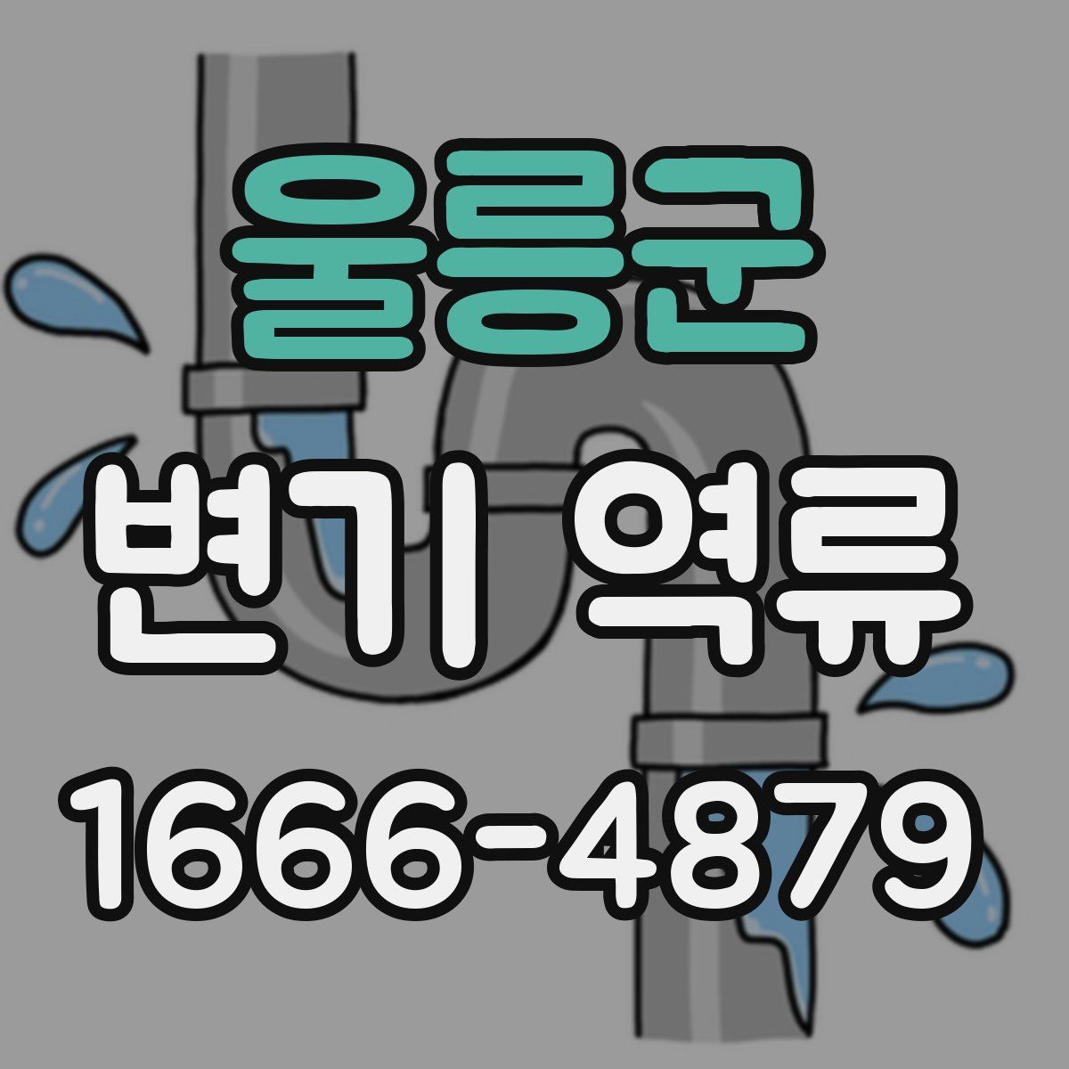 울릉군 변기 역류