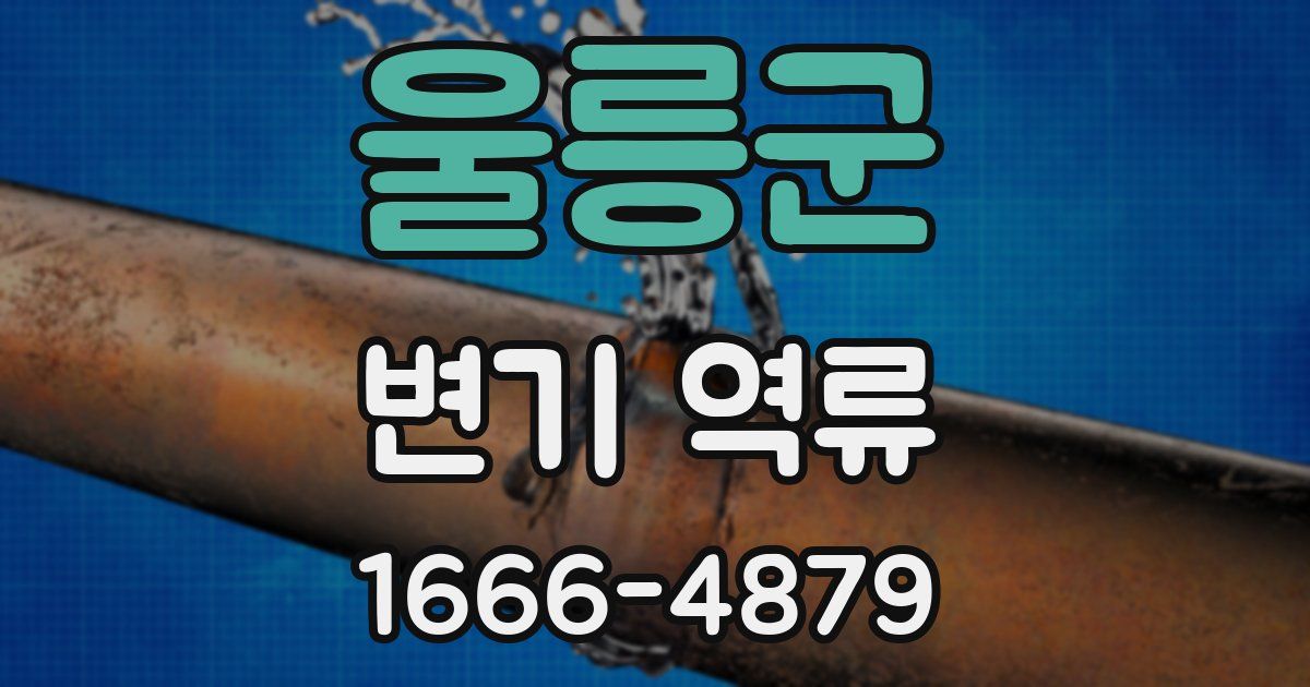 울릉군 변기 역류