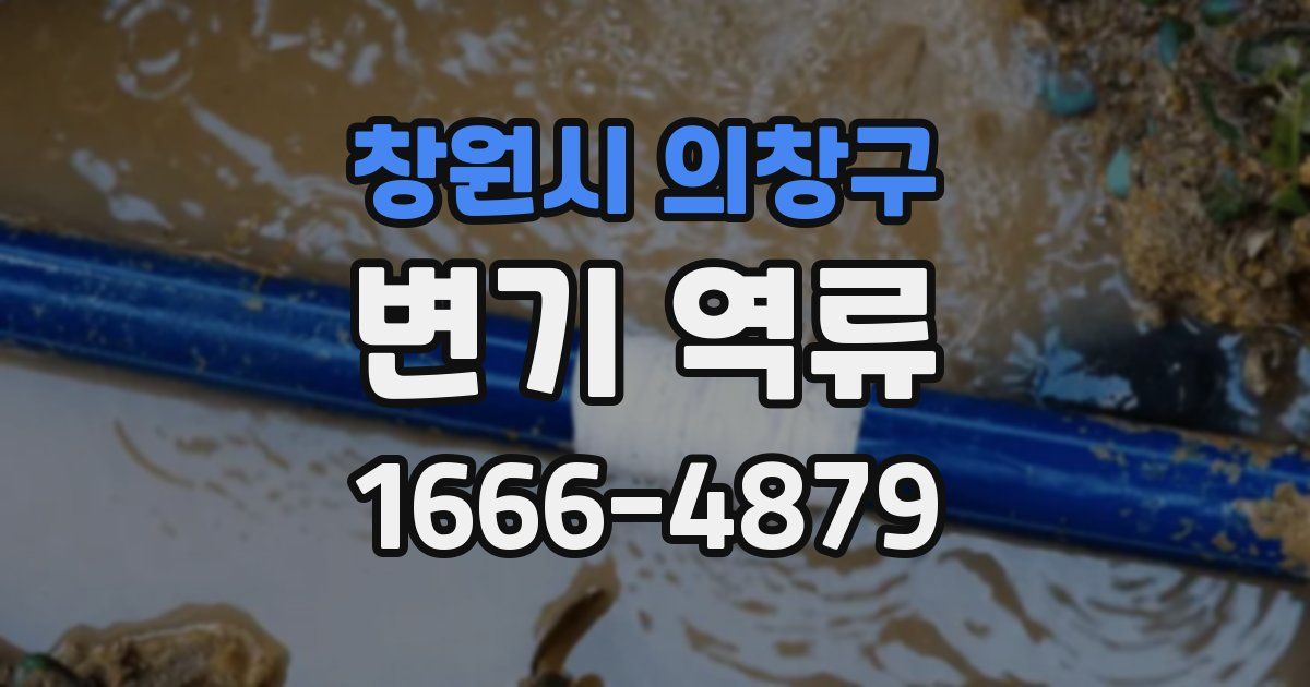 창원시 의창구 변기 역류