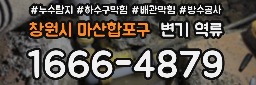 창원시 마산합포구 변기 역류