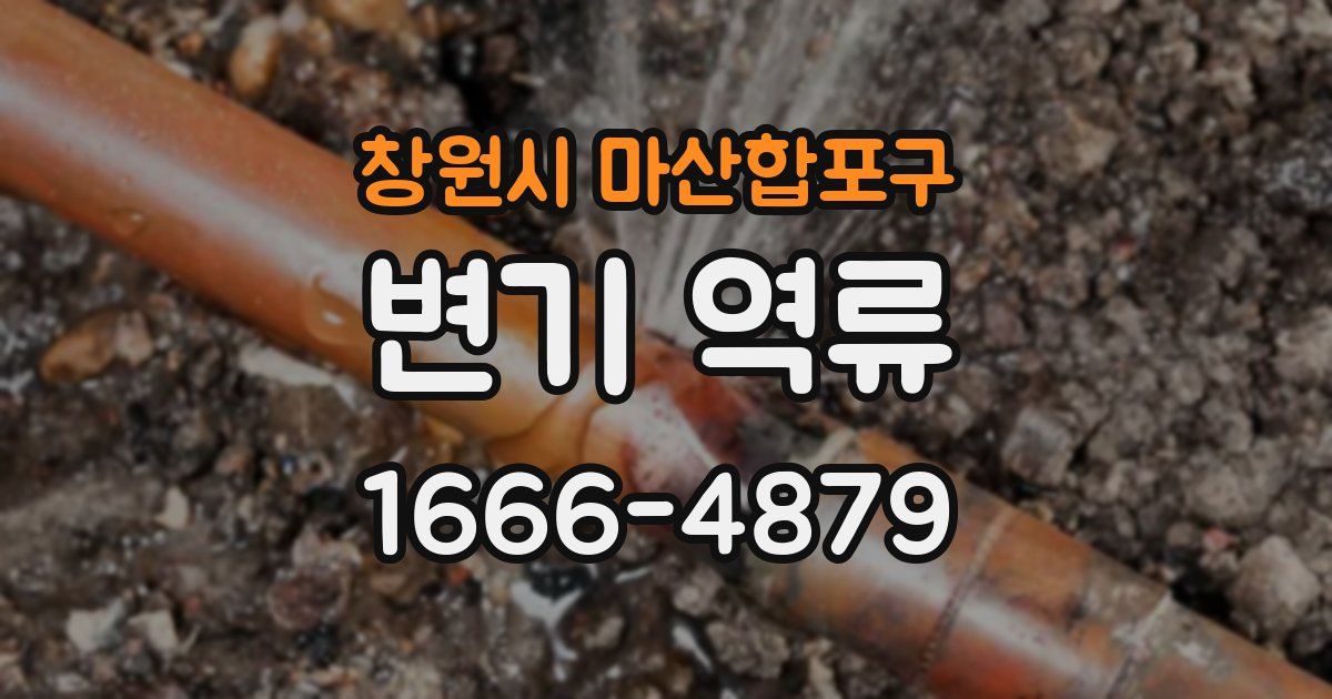 창원시 마산합포구 변기 역류