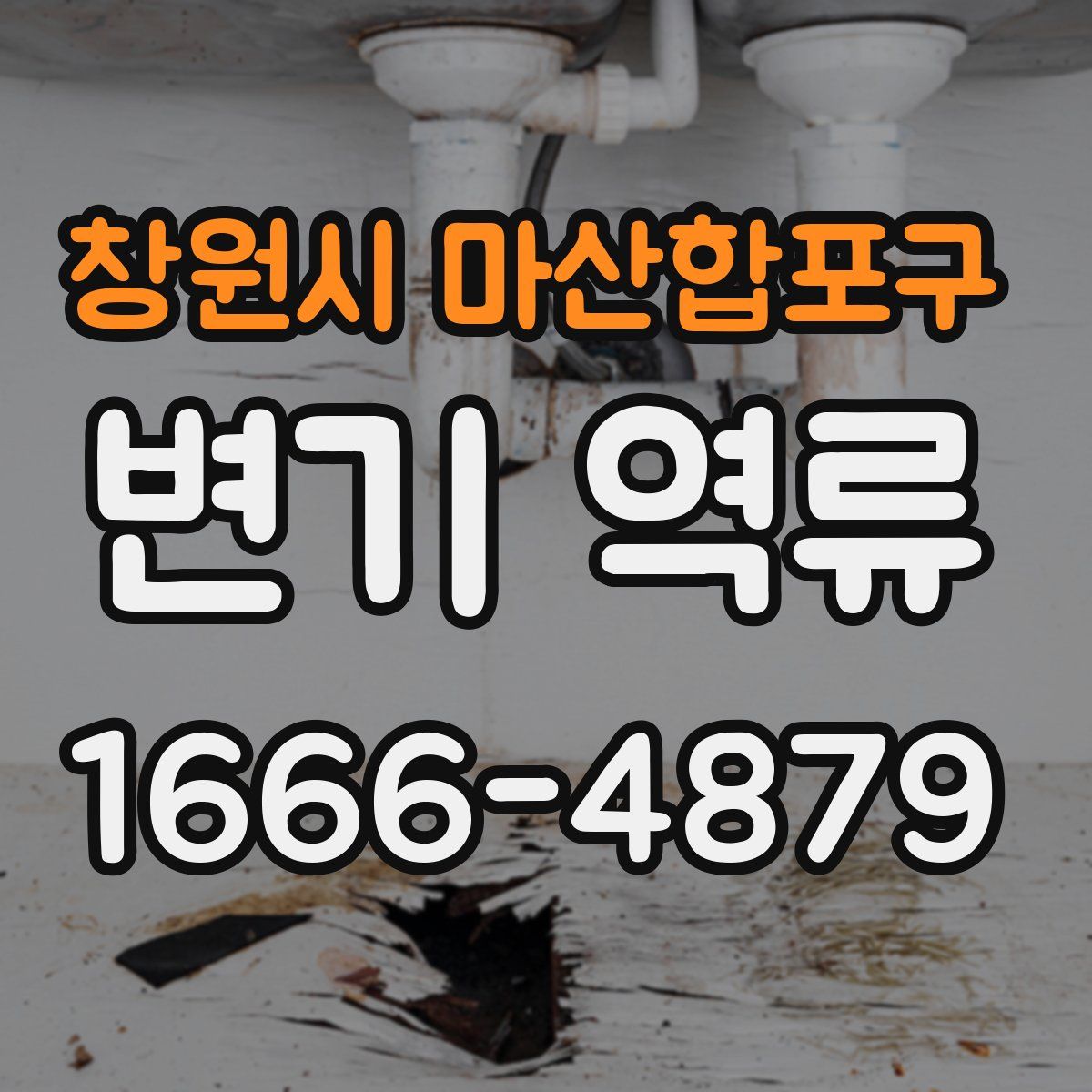 창원시 마산합포구 변기 역류