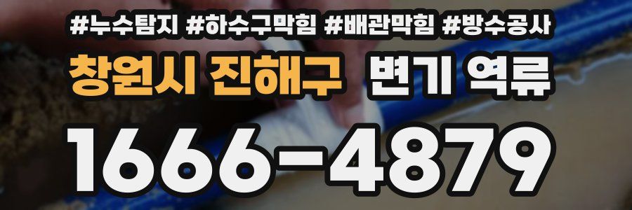 창원시 진해구 변기 역류