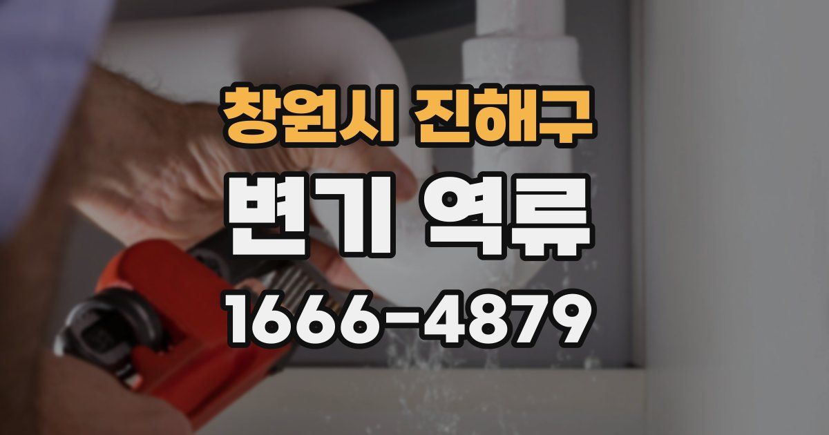 창원시 진해구 변기 역류