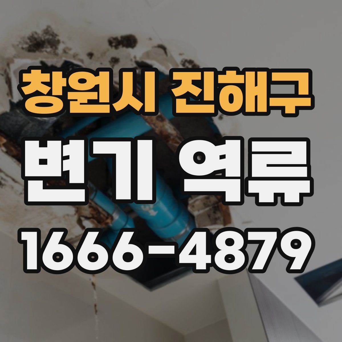 창원시 진해구 변기 역류
