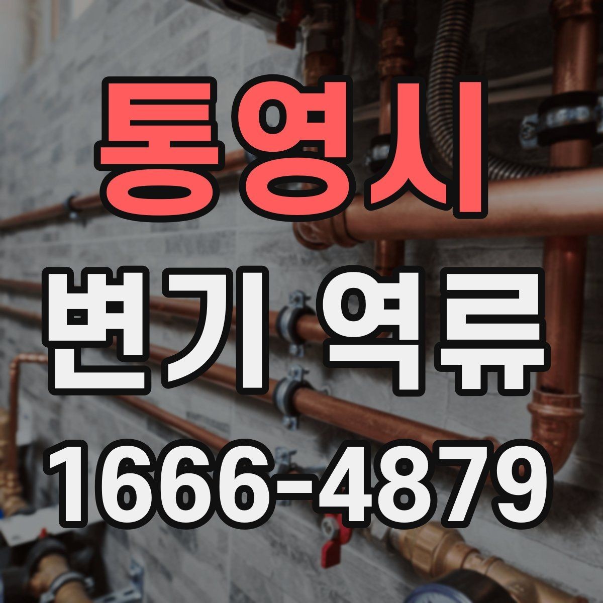 통영시 변기 역류 발생 시 주의할 사항