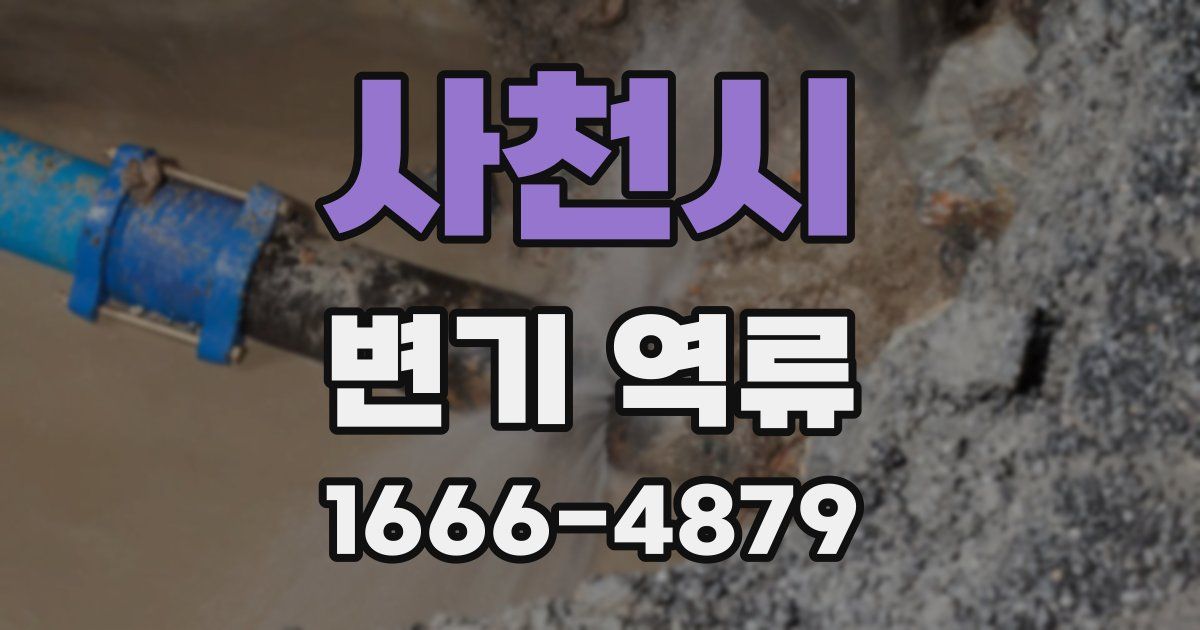 사천시 변기 역류