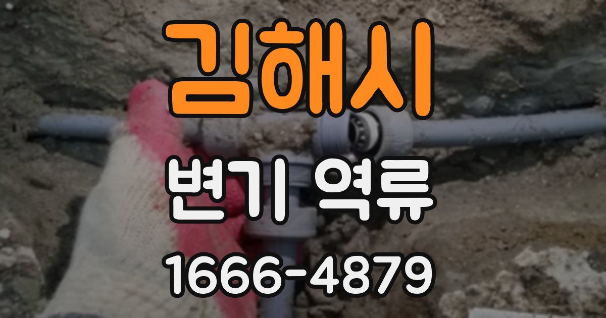 김해시 변기 역류