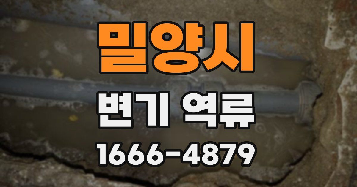 밀양시 변기 역류