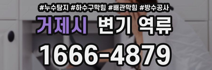 거제시 변기 역류