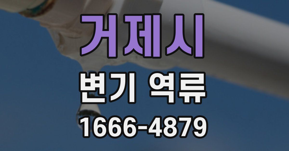 거제시 변기 역류