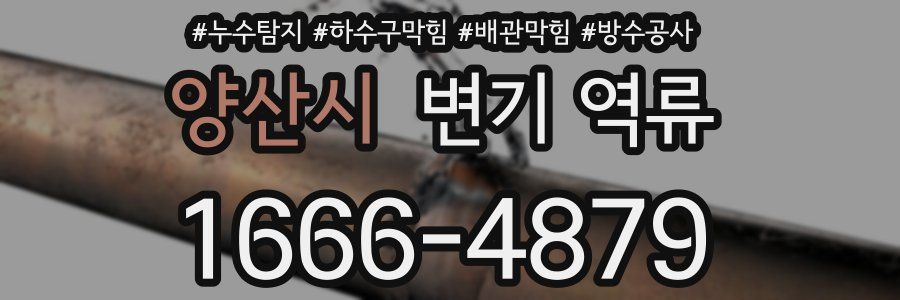 양산시 변기 역류