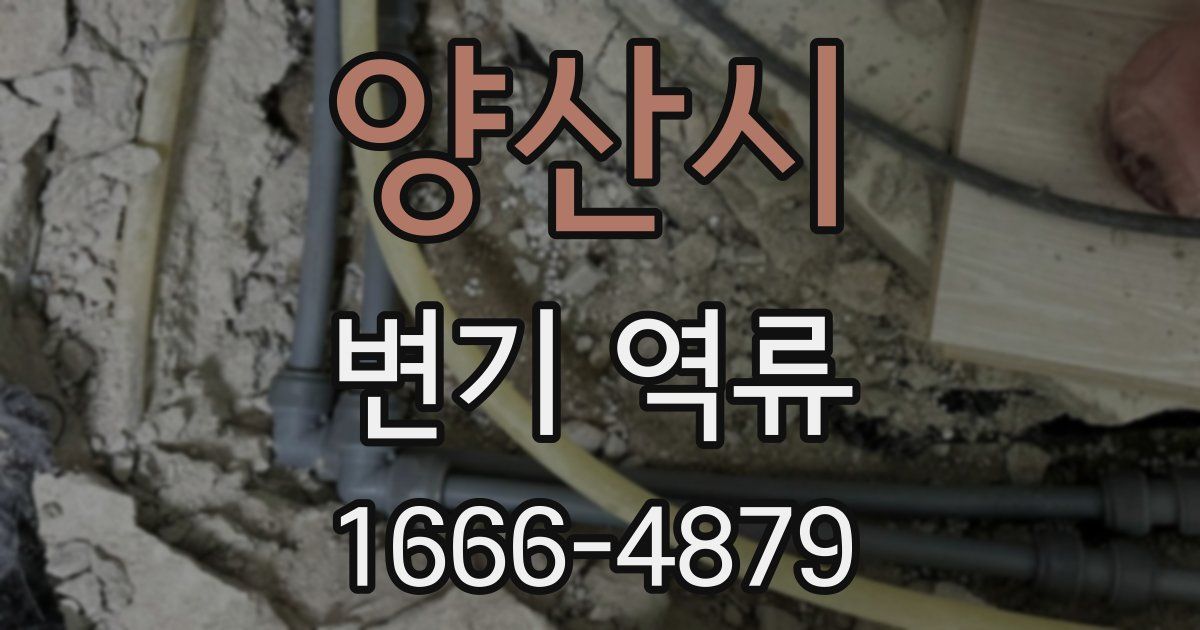 양산시 변기 역류