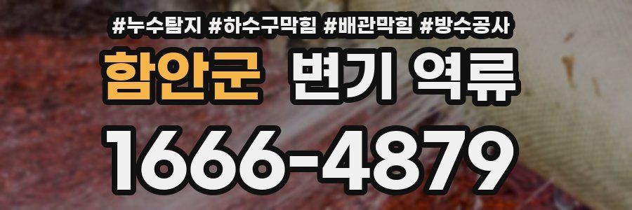 함안군 변기 역류