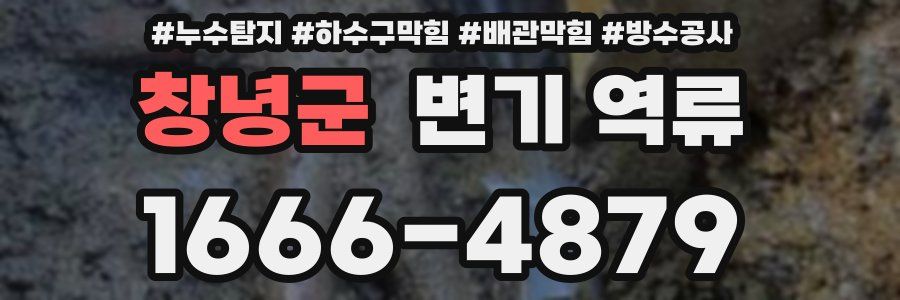 창녕군 변기 역류